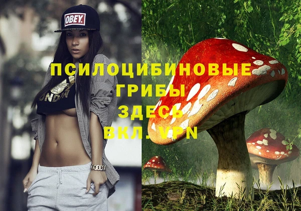 мет Медвежьегорск