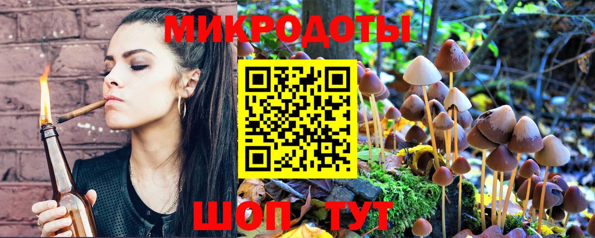 Псилоцибиновые грибы ЛСД  Галлюциногенные грибы Psilocybe  Черняховск 