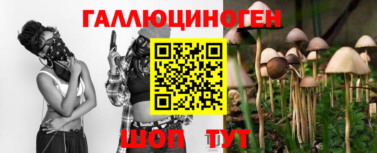 Черняховск  Псилоцибиновые грибы Magic Shrooms  Вход с VPN  Псилоцибиновые грибы мицелий 